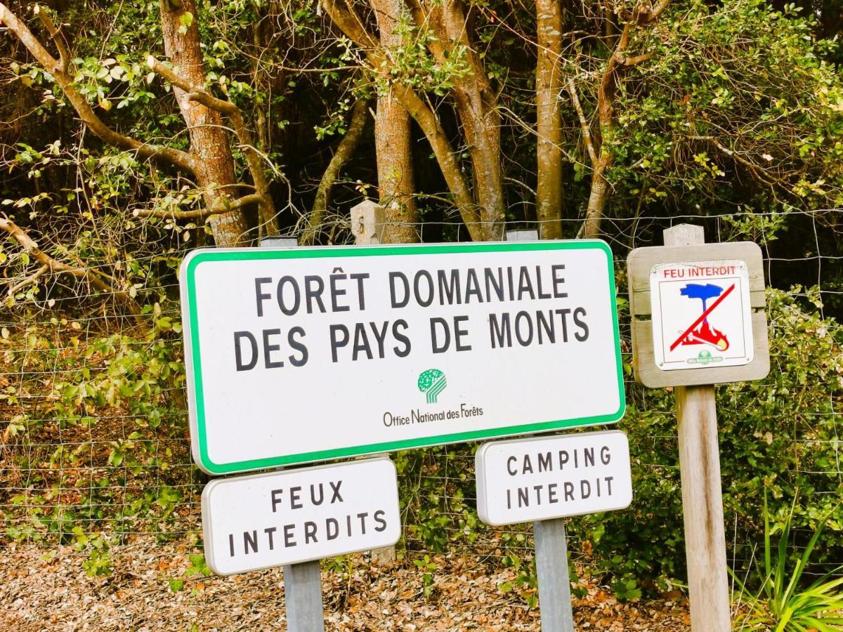 Willa Les Jacinthes Saint-Jean-de-Monts Zewnętrze zdjęcie
